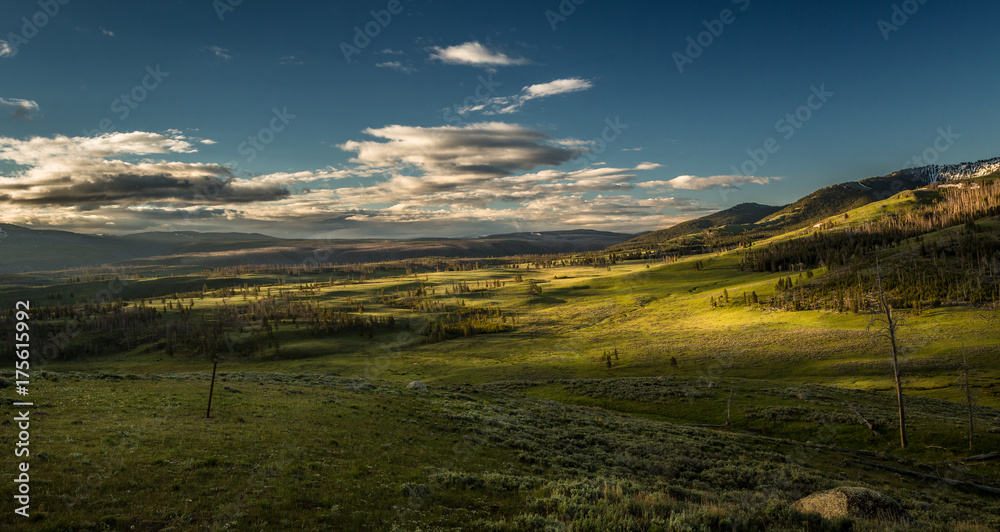A Serene Morning In Montana