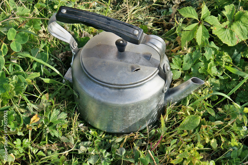Old vintage aluminum electric kettle on a green rustic lawn