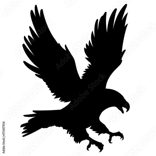 Eagle silhouette 001