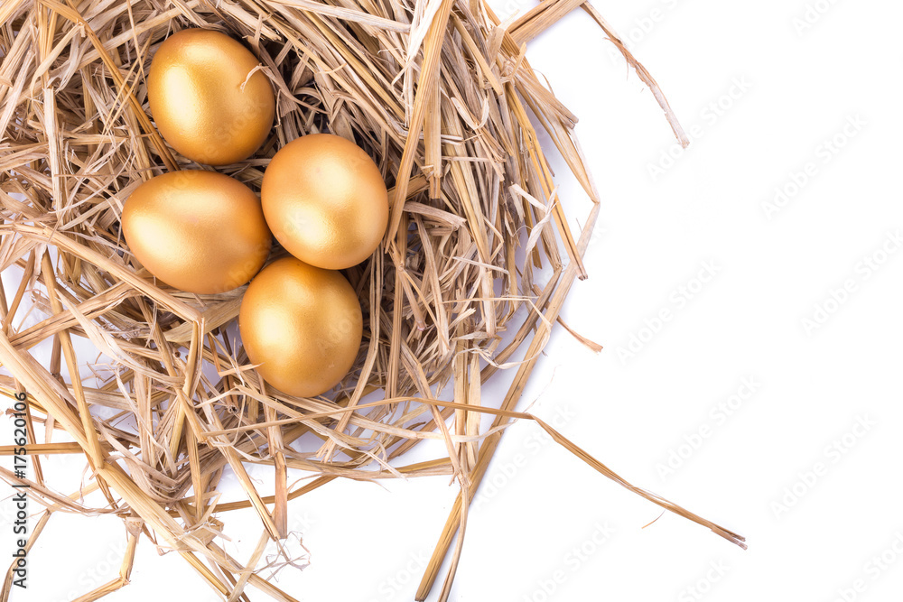 Golden egg inside a nest isolated on white background Golden egg inside a nest isolated on white background