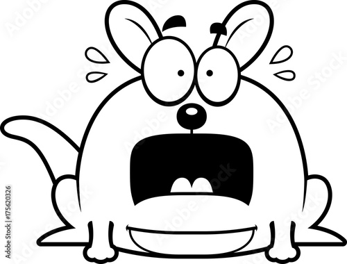 Terrified Little Kangaroo