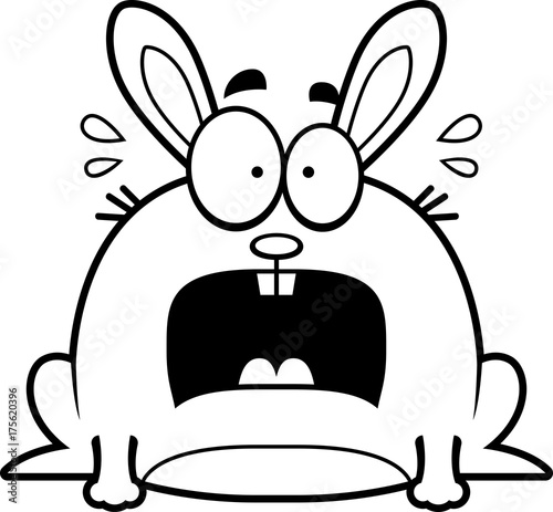 Terrified Little Rabbit
