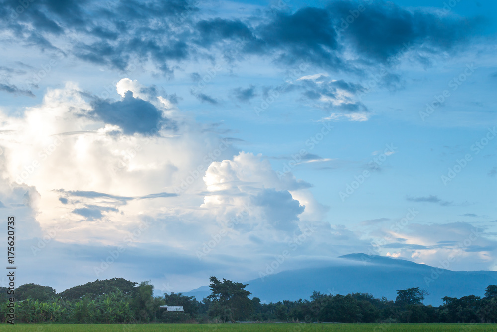 Obraz premium farmland countryside Thailand view / Beautiful clouds