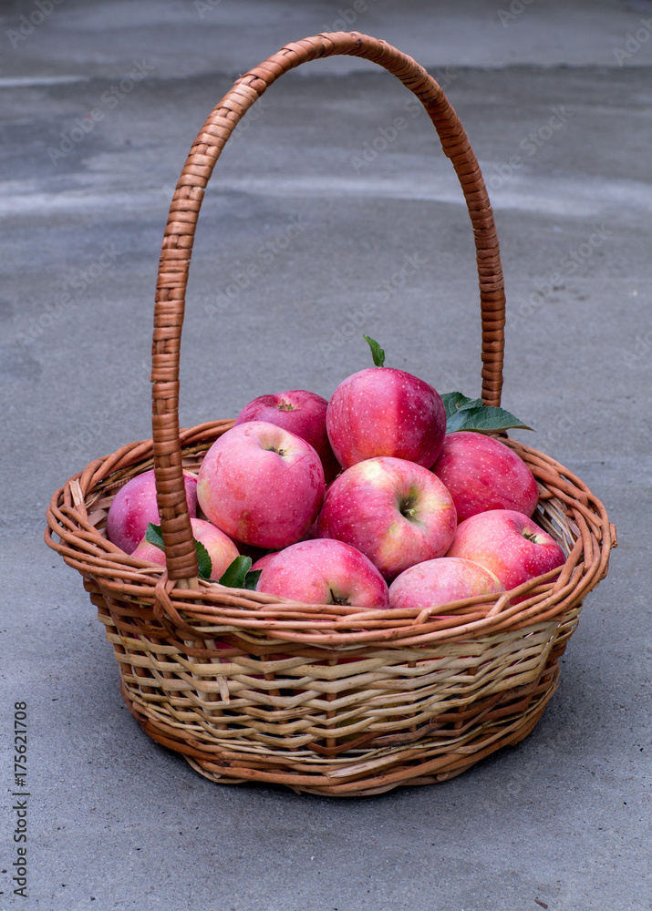 Basket of ripe apples