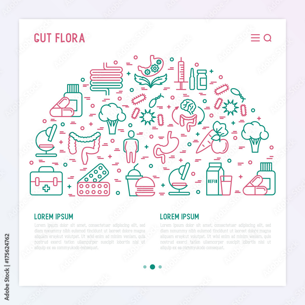 Gut flora concept in half circle with thin line icons: gut, bacteria, obesity, stomach, infection, depression, medicine. Vector illustration for background of medical survey or report.