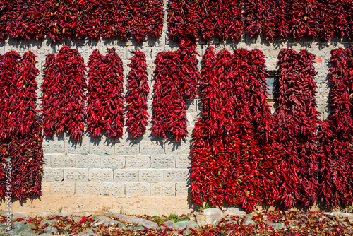 Red peppers dry on house in Serbian village Donja Lokosnica photo