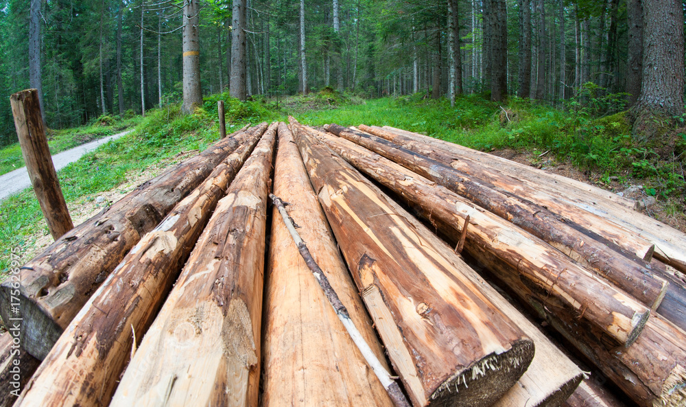 Lumber, Dolomites Lumber, Dolomites