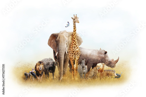 Fototapeta Naklejka Na Ścianę i Meble -  African Safari Animal Fantasy Land
