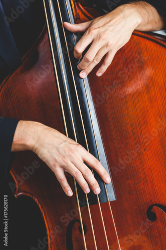 Professional Musician Playing a Double Bass