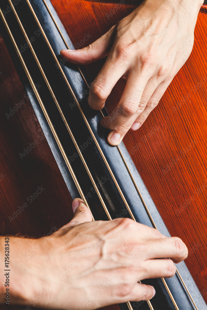 Masculine Hands Playing a Double Bass Masculine Hands Playing a Double Bass