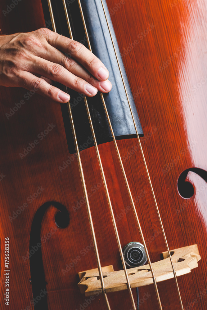 Professional Musician Playing a Double Bass Professional Musician Playing a Double Bass