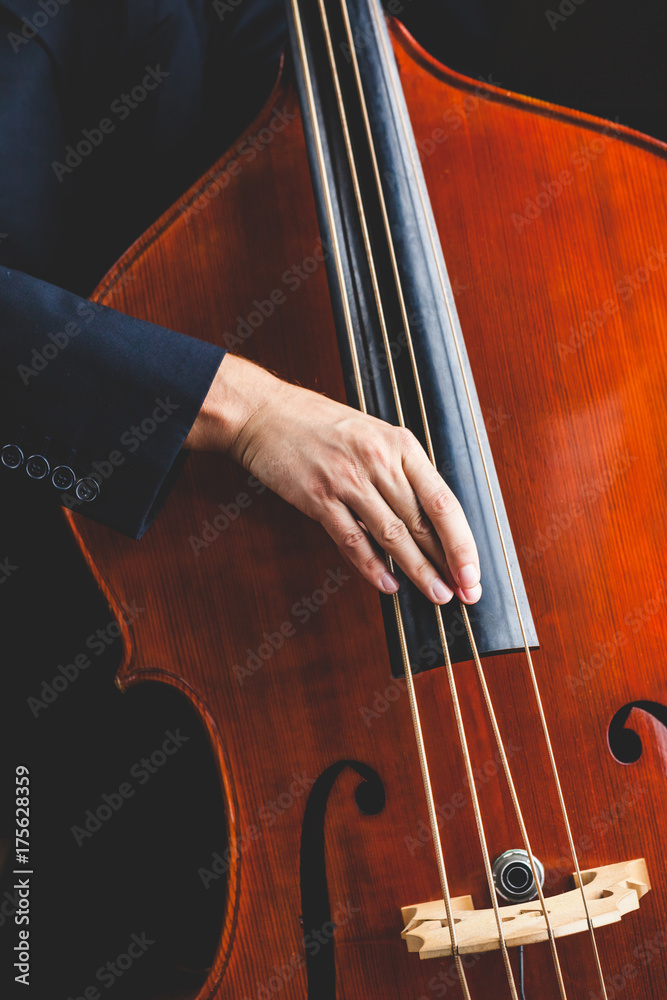 Professional Musician Playing a Double Bass Professional Musician Playing a Double Bass