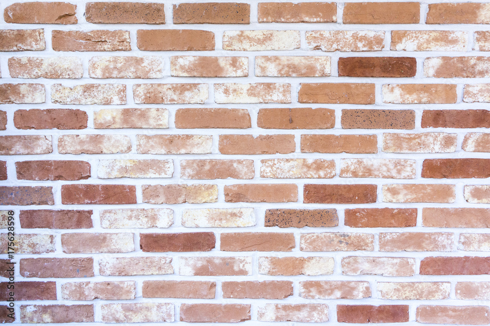 Fototapeta premium wall texture