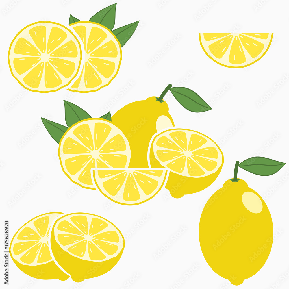 Lemon. Citrus fruit with leaf - whole, half, slice. Vector illustration. Lemon. Citrus fruit with leaf - whole, half, slice. Vector illustration.
