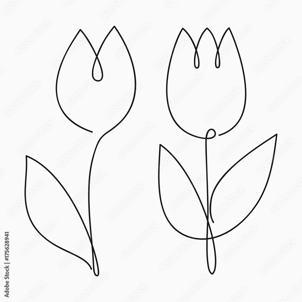 Tulip one line drawing. Continuous line flower. Handdrawn illustration