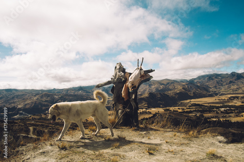 white dog with scarecrow on a hill photo