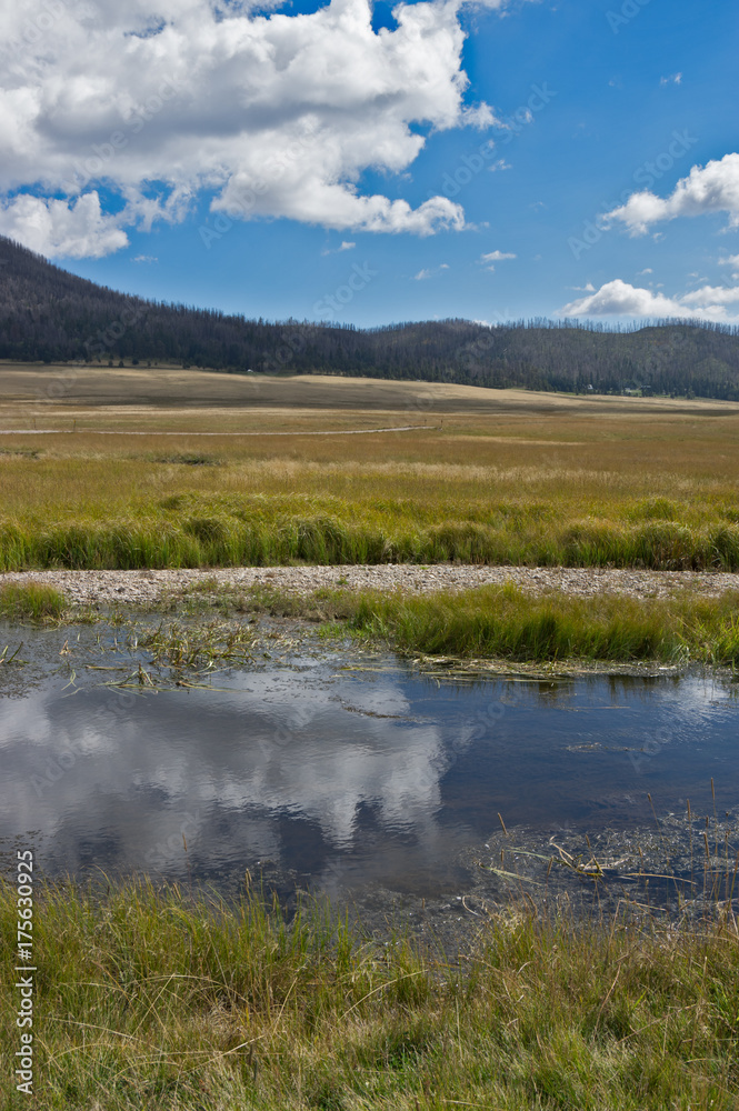 East Fork of the Jemez River in the Valles Caldera