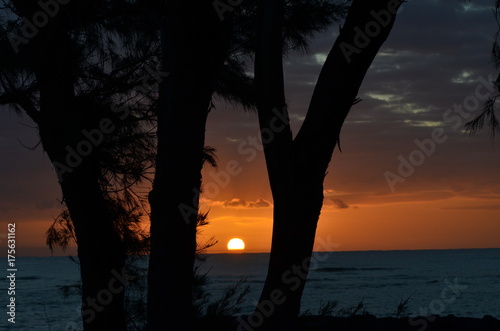 Hawaii silhouette sunrise !