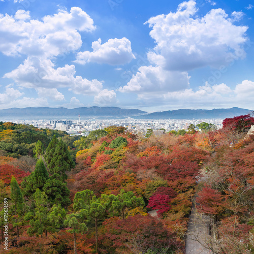 the beautiful Momiji autumn colorful maple garden at Kiyomizu-Dera temple with Kyoto city background  Japan