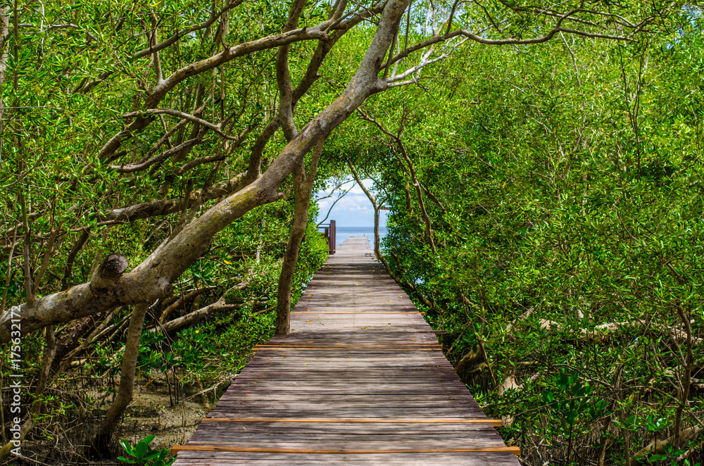 Wooden walkway in the mangrove forest to the sea. Wooden walkway in the mangrove forest to the sea.