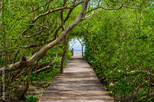 Wooden walkway in the mangrove forest to the sea.