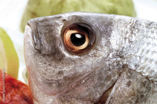 Gilt-head Sea Bream eye