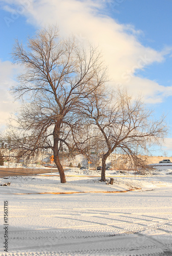 Snow in the city  © Anastasiia Lanham