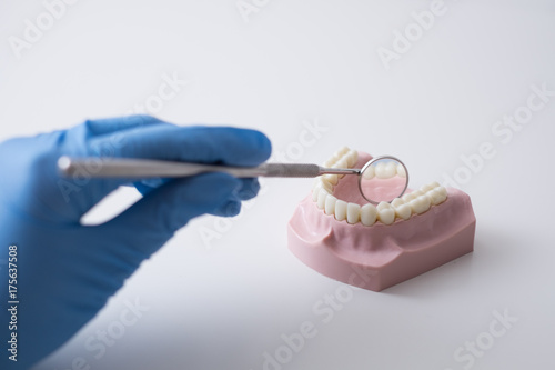 Dentist hand and instrument during a cavity tooth examination on a plastic mouth model with stainless steel mouth mirror on a white background
