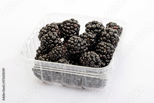 Blackberries in a plastic storage container