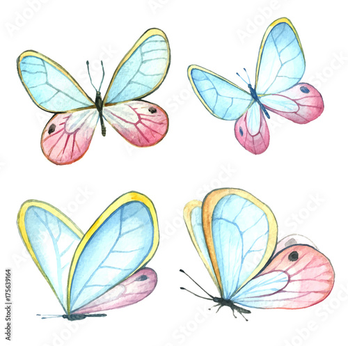 Watercolor collection of colorful butterflies.
