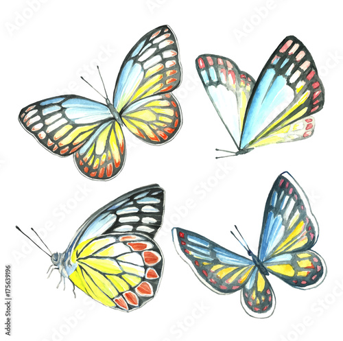 Watercolor collection of colorful butterflies.