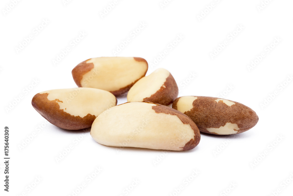 Para nuts isolated on a white background Para nuts isolated on a white background