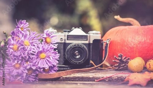 old camera on the background of the gifts of autumn: bouquet of lilac autumn asters, pumpkins, maple leaves, pinecone and quince