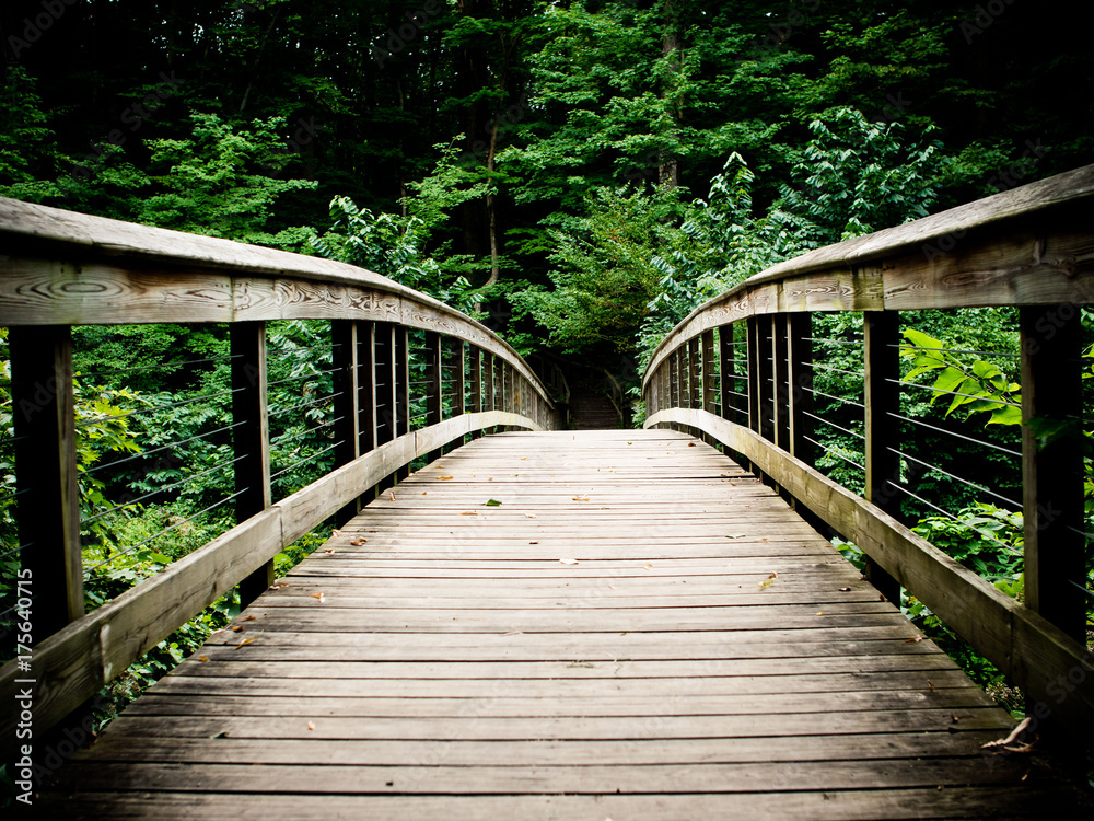 Old bridge in the woods Old bridge in the woods