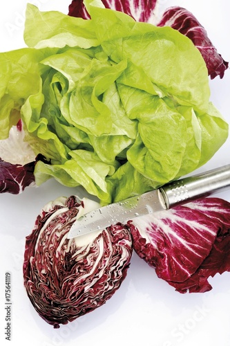 Lettuce and radicchio photo