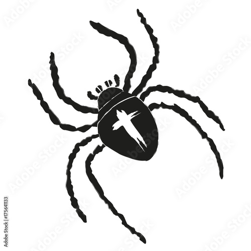 Spinne, Kreuzspinne (Araneus) abstrakte Zeichnung, vektor Silhouette, halloween