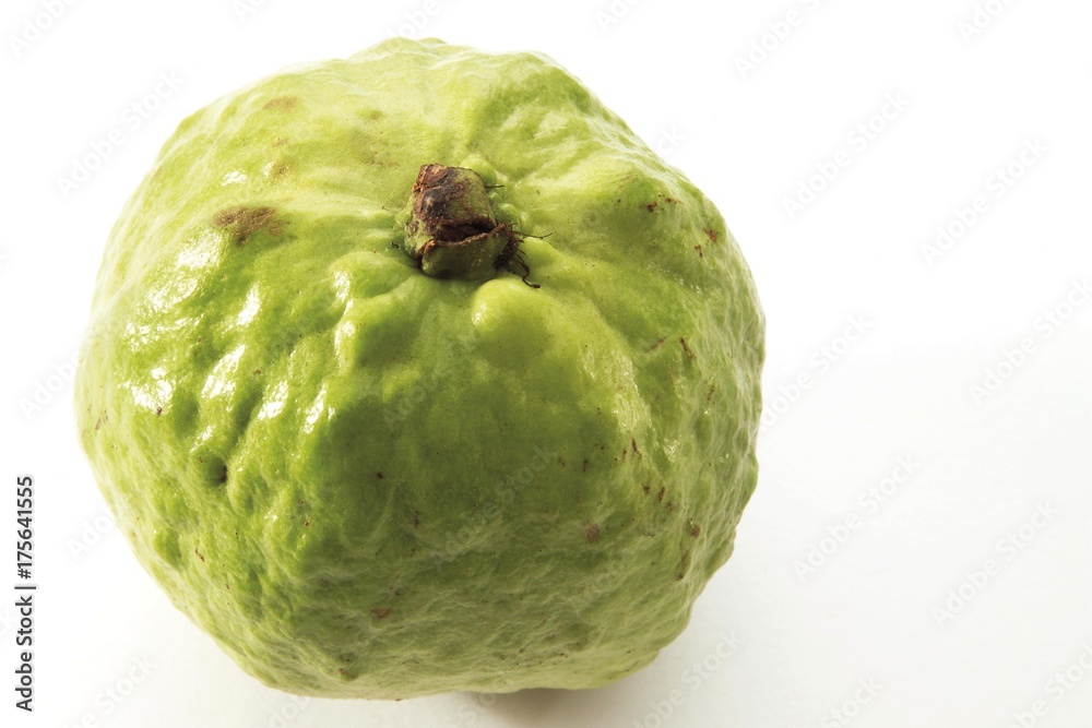 Obraz premium Guava (Psidium guajava)