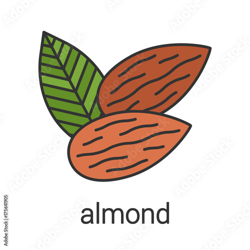 Almond color icon