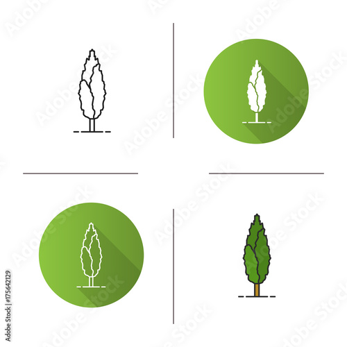 Poplar tree icon