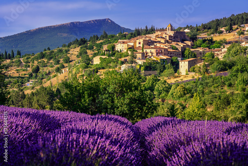Aurel town and lavender fields in  Provence, France photo