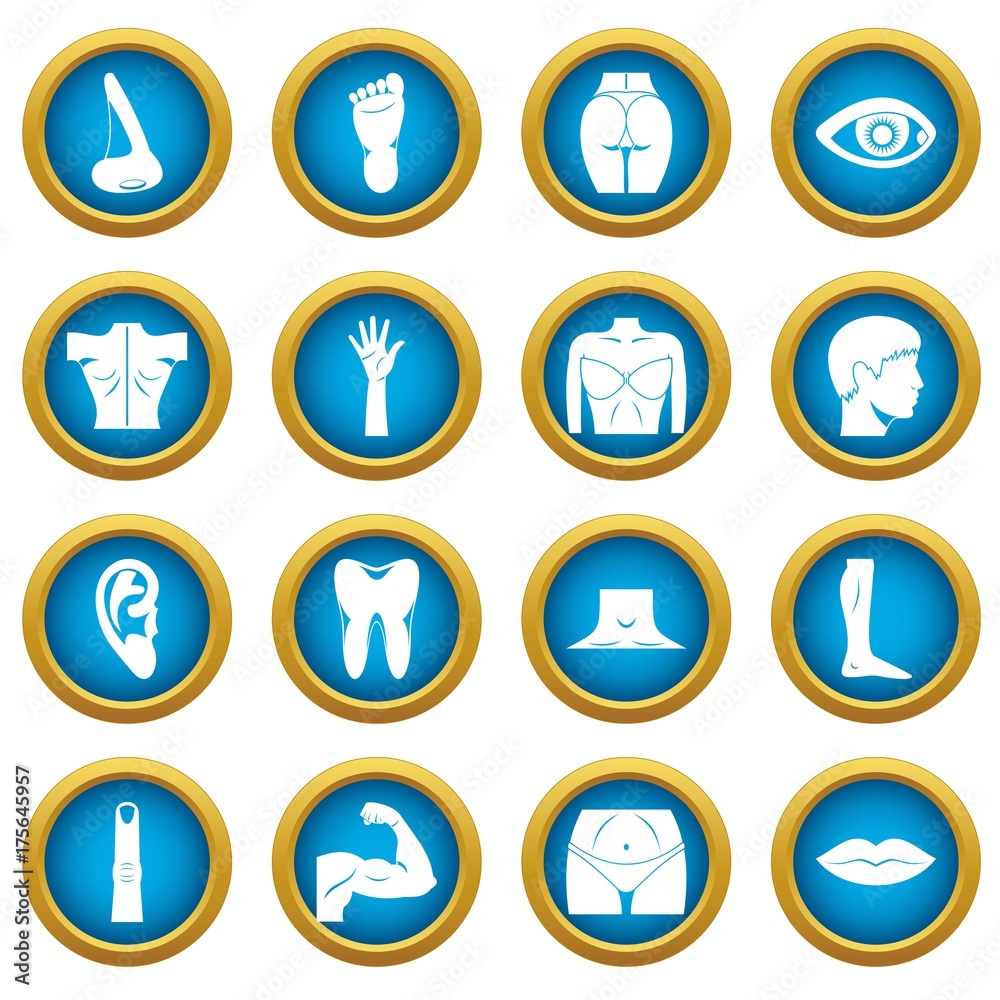 Body parts icons blue circle set Body parts icons blue circle set