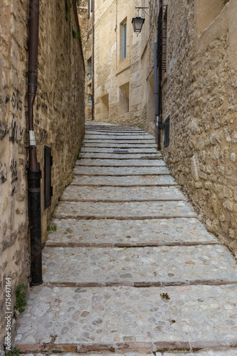 Fototapeta Naklejka Na Ścianę i Meble -  the alley of Spoleto