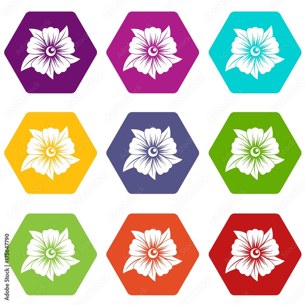 Flower icon set color hexahedron