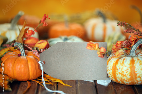 Autumn pumpkins with sale tag background