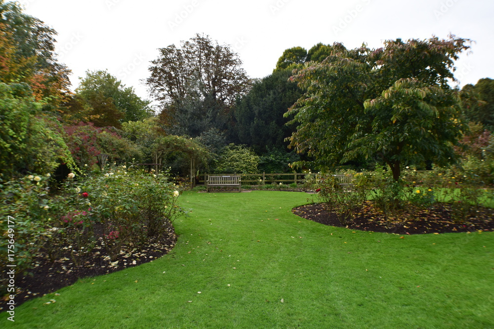 Obraz premium Autumn Roses Garden