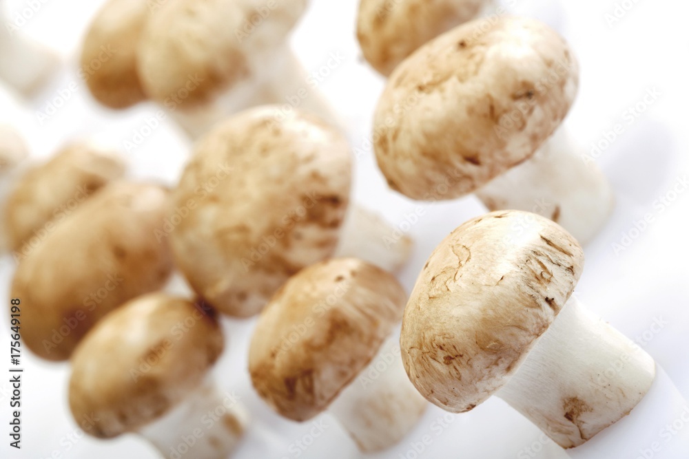 Button Mushrooms or Field Mushrooms (Agaricus)