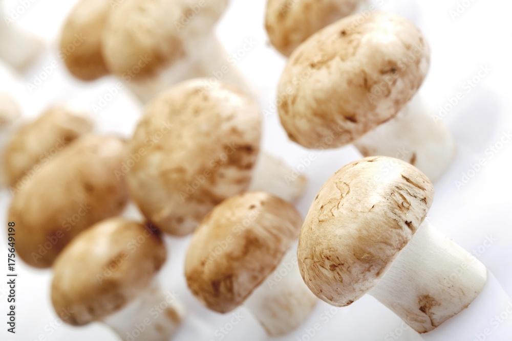 Button Mushrooms or Field Mushrooms (Agaricus) Button Mushrooms or Field Mushrooms (Agaricus)