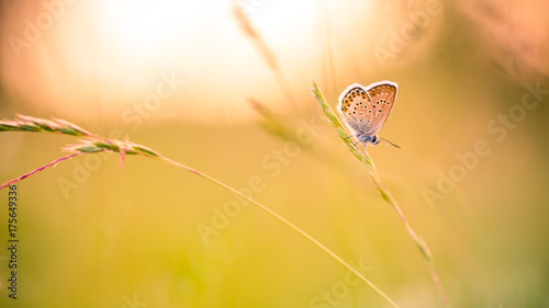 Photography Amazing nature