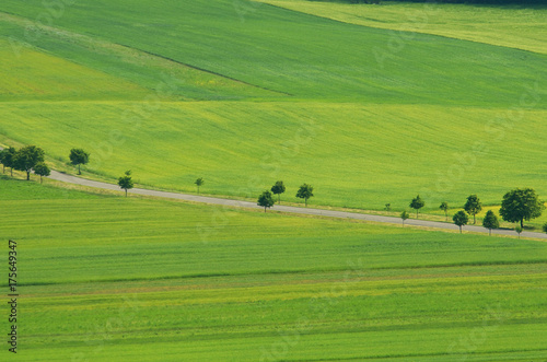 Green field. Aerial view of green landscape background design.