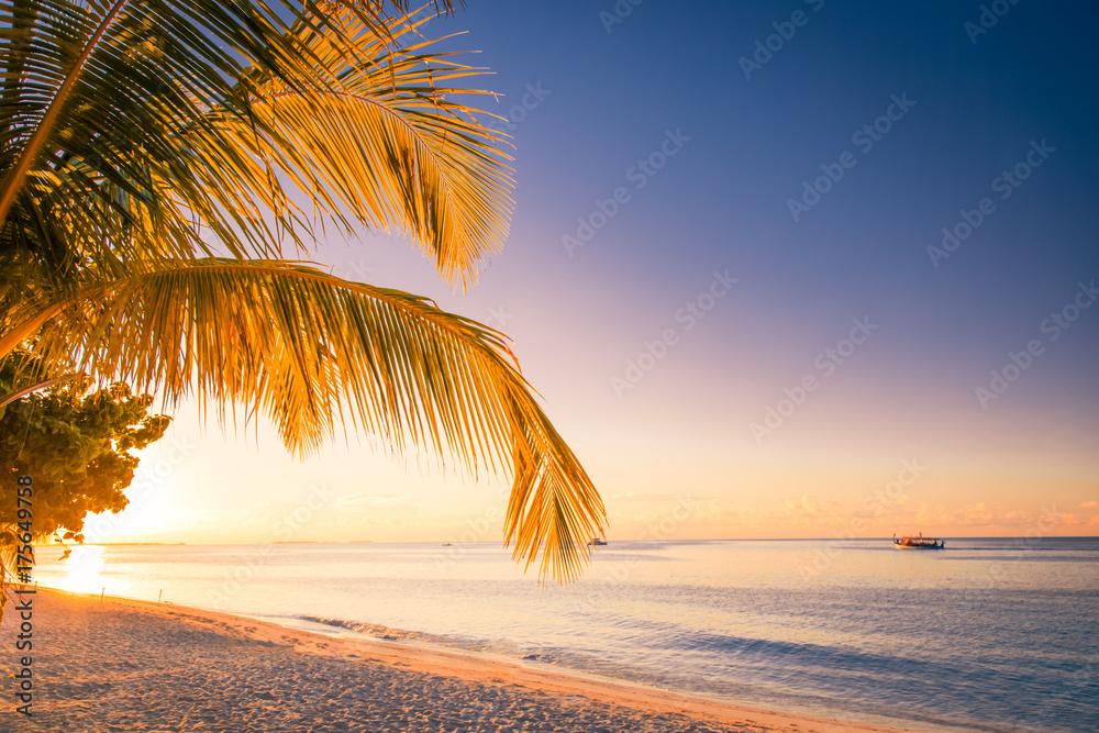 Sunset beachwith palms